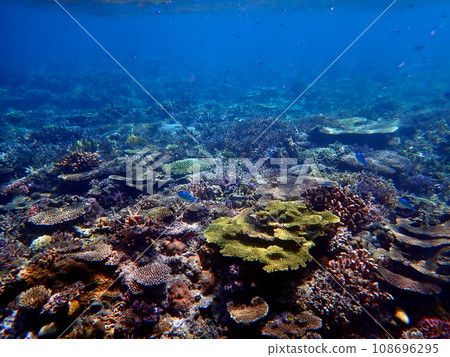 Okinawa, Kerama Islands, Zamami, Amuro Island snorkeling Okinawa, Kerama Islands, Zamami, Amuro Island snorkeling 108696295