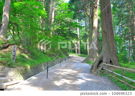Tohoku, Hiraizumi, Chusonji, Hachiman-do branch in the middle of Tsukimizaka, Hiraizumi-cho, Iwate Prefecture (2) Tohoku, Hiraizumi, Chusonji, Hachiman-do branch in the middle of Tsukimizaka, Hiraizumi-cho, Iwate Prefecture (2) 108696323