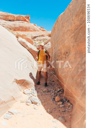 Man with View from in zion national park 108696534