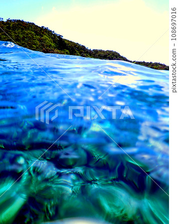 沖繩、慶良間群島、座間味、阿室島浮潛 沖繩、慶良間群島、座間味、阿室島浮潛 108697016