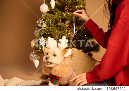 Christmas with a pet dog Christmas with a pet dog 108697311