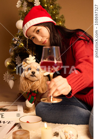 Christmas with a pet dog Christmas with a pet dog 108697327
