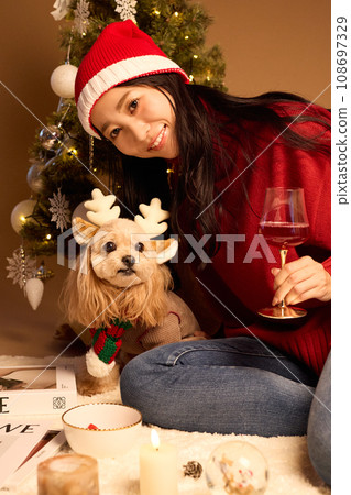 Christmas with a pet dog Christmas with a pet dog 108697329