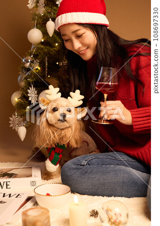 Christmas with a pet dog Christmas with a pet dog 108697330