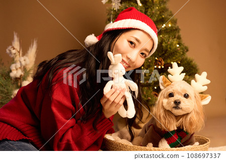 Christmas with a pet dog Christmas with a pet dog 108697337