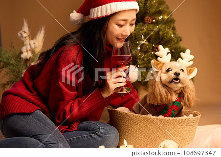Christmas with a pet dog 108697347