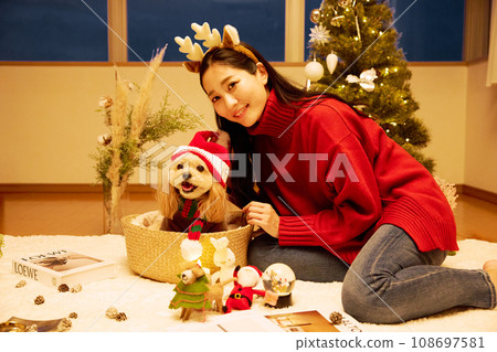 Christmas with a pet dog Christmas with a pet dog 108697581