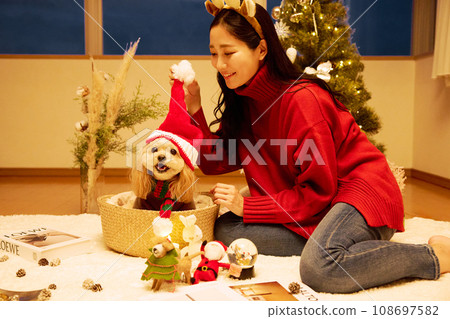 Christmas with a pet dog Christmas with a pet dog 108697582