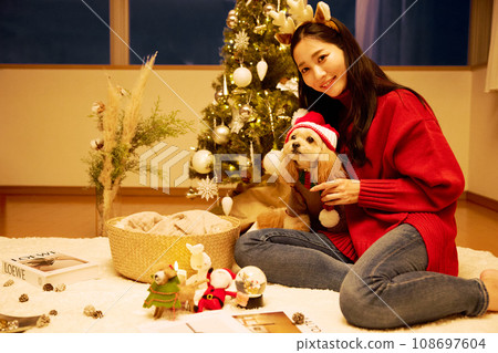 Christmas with a pet dog Christmas with a pet dog 108697604