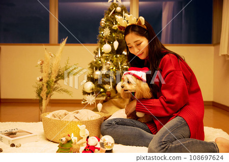 Christmas with a pet dog 108697624