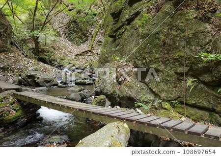 Hiking course along the mountain stream of Itashiki Valley Hiking course along the mountain stream of Itashiki Valley 108697654