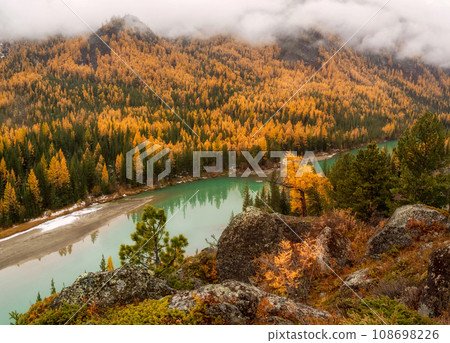 Wonderful alpine landscape with mountain river Argut in valley with forest in autumn colors on background of foggy mountains silhouettes under low clouds. Beautiful mountain valley in autumn. Wonderful alpine landscape with mountain river Argut in valley with forest in autumn colors on background of foggy mountains silhouettes under low clouds. Beautiful mountain valley in autumn. 108698226