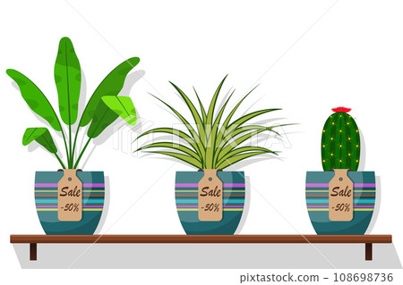 Room plants and flowers in pots on shelf with labels sale, discount 50 percent. Flat style vector illustration. Chlorophytum, cactus. 108698736