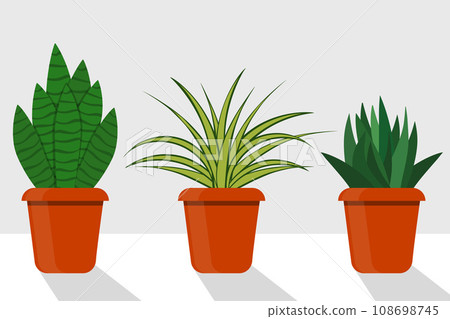 Flat style room plants in pots, vector illustration. Chlorophytum, sansevieriya. 108698745