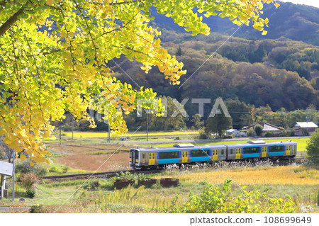 Suigun Line “A train running through the countryside and ginkgo trees bathed in the sun” Suigun Line “A train running through the countryside and ginkgo trees bathed in the sun” 108699649