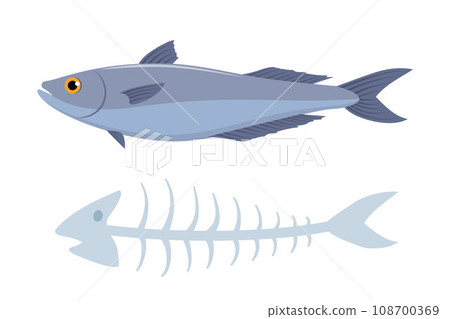 Fish with his fishbone, on white background. Organic waste. Vector illustration. 108700369