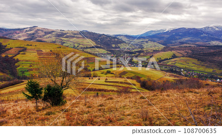 rolling hills of mountainous countryside landscape. scenery of carpathian rural area in autumn season on an overcast day. village in the valley 108700635