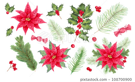 Christmas collection with poinsettia flowers, holly branches, berries, pine, spruce, caramel candy. Holiday clipart for the New Year, Christmas. Marker watercolor illustration.Hand drawn isolated art 108700900