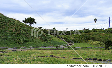 Late autumn in Urikizaki, Shimoda City, Shizuoka Prefecture 108701006