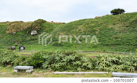 Late autumn in Urikizaki, Shimoda City, Shizuoka Prefecture 108701007