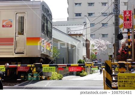 Cherry blossoms on the other side of the railroad crossing 108701481