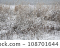 湖岸乾草上的雪 108701644