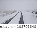 雪糕 108701648