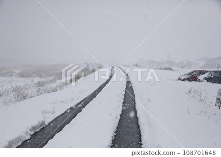 雪糕 雪糕 108701648