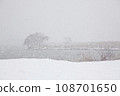 白雪皚皚的湖岸風光 108701650