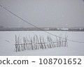 枇杷湖岸雪景 108701652