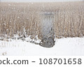 一個大湖被雪覆蓋，一叢枯死的蘆葦 108701658