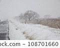 雪景。台中湖畔乾草上的雪 108701660