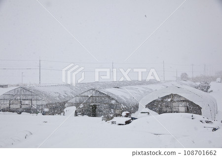雪落在乙烯基房子上 108701662