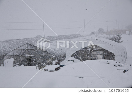 雪落在乙烯基房子上 108701665