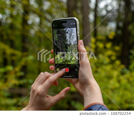 Berlin, Germany October 30 2023 Hands holding phone, taking mobile photo, shooting nature, forest 108702254