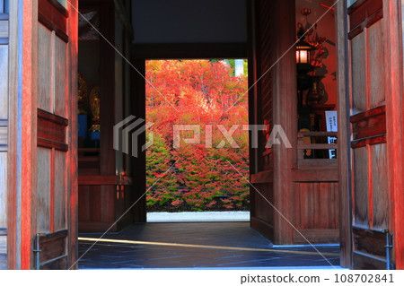 [Fukuoka Prefecture] Dodan Azalea of Hyakkannon-do of Nozan Kannon-ji Temple 108702841