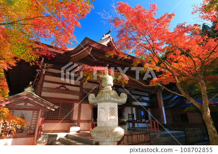 [Fukuoka Prefecture] Autumn leaves at Tennoin main hall on a clear day (Nozan Kannonji) 108702855