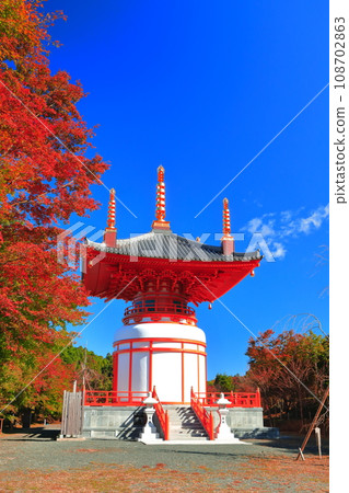 [福岡縣] 晴天時，能山觀音寺宇木大寶塔的紅葉 108702863