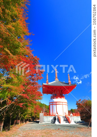 [Fukuoka Prefecture] Autumn leaves at the Ugi Daihoto pagoda at Nozan Kannonji Temple on a clear day 108702864