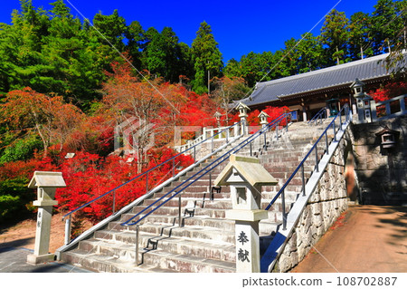 【福岡縣】晴天時能山觀音寺百觀音堂的道壇杜鵑花 【福岡縣】晴天時能山觀音寺百觀音堂的道壇杜鵑花 108702887