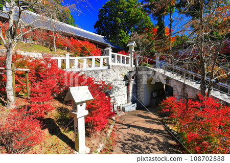 【福岡縣】晴天時能山觀音寺百觀音堂的道壇杜鵑花 【福岡縣】晴天時能山觀音寺百觀音堂的道壇杜鵑花 108702888