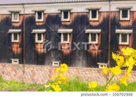 A photo of a sake brewery in Fushimi Ward, Kyoto City, where rape blossoms are blooming, heralding the arrival of spring. A photo of a sake brewery in Fushimi Ward, Kyoto City, where rape blossoms are blooming, heralding the arrival of spring. 108702986