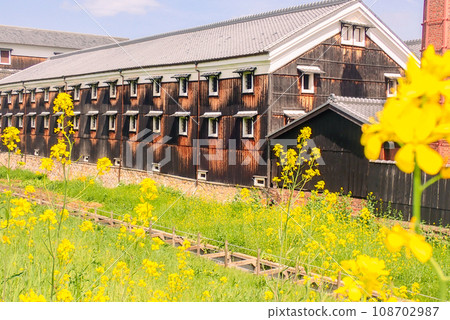 A photo of a sake brewery in Fushimi Ward, Kyoto City, where rape blossoms are blooming, heralding the arrival of spring. 108702987
