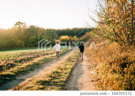 Little happy boys twins running countryside road. Rural childhood, autumn,family 108703372