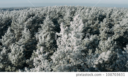 ungraded, d-log Beautiful Snowy White Forest In Winter Frosty Day. Aerial View Flight Above Amazing Pine Forest. Landscape. Scenic View Of Park Woods. Nature Elevated View Of Winter Frost Woods. Snowy 108703631