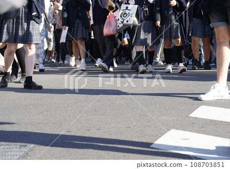 Students on a school trip walking through tourist spots 108703851