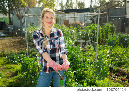 Woman hoeing in garden 108704424