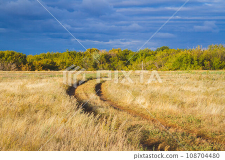 Road in field at sunset. Beautiful sunset and field road. 108704480