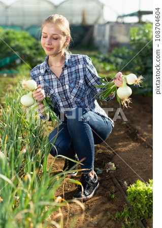 Woman harvesting green onion Woman harvesting green onion 108704604