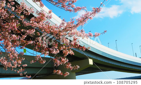 東京足立區港北交界處的景色和春天櫻花盛開 東京足立區港北交界處的景色和春天櫻花盛開 108705295